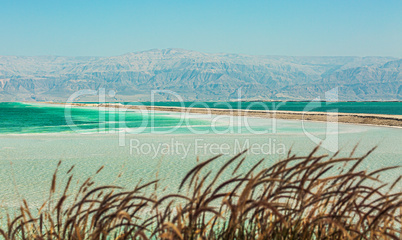 Beautiful coast of the Dead Sea .