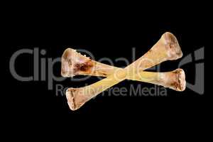 Two crossbones from the chicken leg against a black background