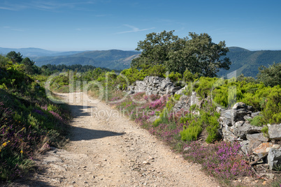 Camino de Santiago, Galicia, Spain