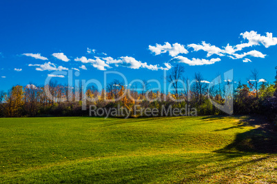 Green field near the autumn forest