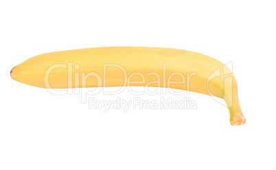 one raw Yellow Banana Isolated at dry sunny day