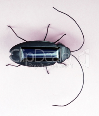 Electronic Bug Toy on Pink Background