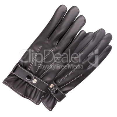 two Leather Gloves Isolated