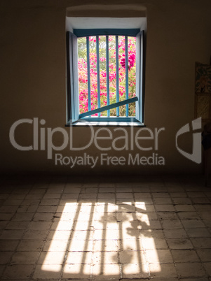 View of colorful flowers by the window of a dark room.