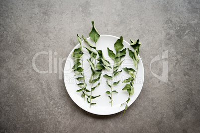 Dried curry leaves