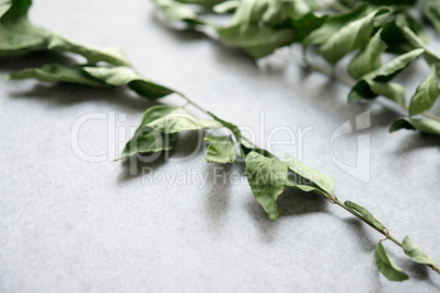 Dried curry leaves