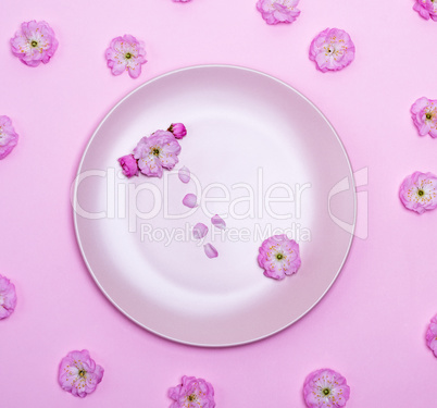 empty round ceramic pink plate