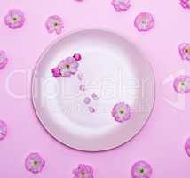 empty round ceramic pink plate