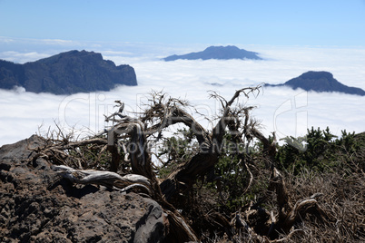 Pico de Bejenado und Cumbre auf La Palma