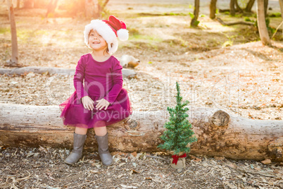 Mixed Race Toddler Girl in Santa With a Tiny Christmas Tree