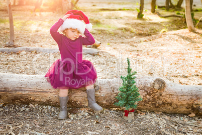 Mixed Race Toddler Girl in Santa With a Tiny Christmas Tree