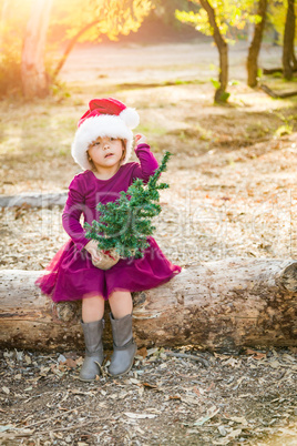 Mixed Race Toddler Girl in Santa Holding a Tiny Christmas Tree