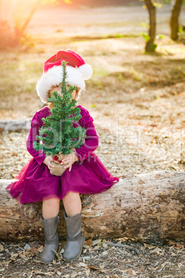 Mixed Race Toddler Girl in Santa Holding a Tiny Christmas Tree