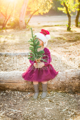 Cute Mixed Mixed Race Toddler Girl in Santa Holding a Tiny Christmas Tree Race Young Baby Girl Having Fun With Santa Hat and Ch
