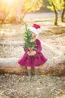 Cute Mixed Mixed Race Toddler Girl in Santa Holding a Tiny Christmas Tree Race Young Baby Girl Having Fun With Santa Hat and Ch