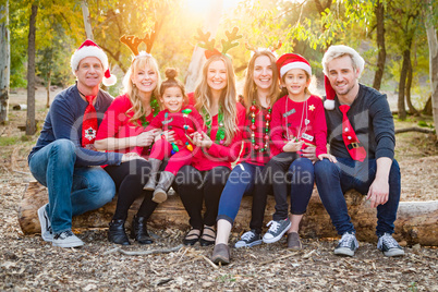 Christmas Themed Multiethnic Family Portrait Outdoors