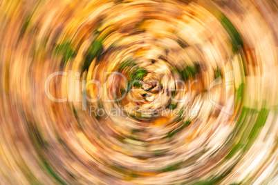 Concept Swirling Autumn Leaves