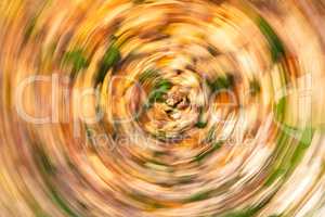 Concept Swirling Autumn Leaves