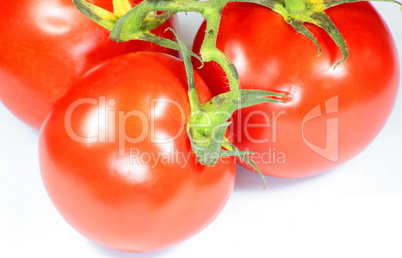 red tomato