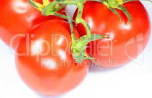 red tomato