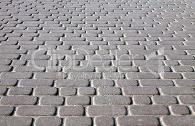 Cobblestone Pavement at day