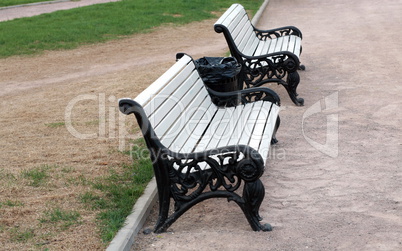 bench  in park