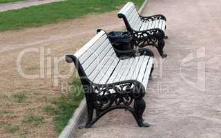 bench  in park