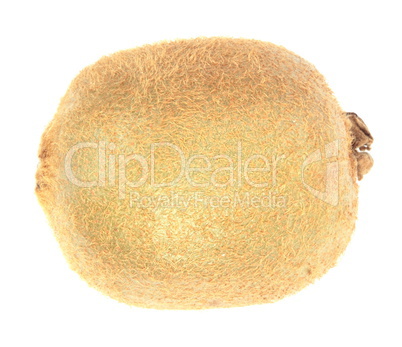 raw kiwi at day