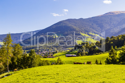 Berge mit Wiese, mountain with meadow