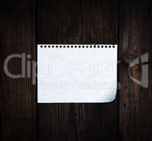 empty rectangular white sheet torn out of notepad