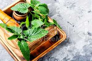 Melissa leaf or lemon balm