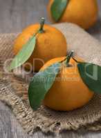 Fresh ripe tangerines with leaves in bowl on a wooden background