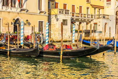 Gondolas moored on the Grand Canal of Venice, Italy