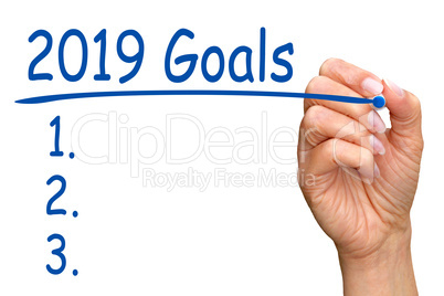2019 Goals and Checklist - female hand with blue pen on white background