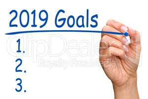 2019 Goals and Checklist - female hand with blue pen on white background