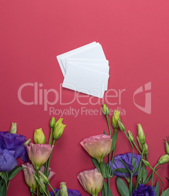 fresh blooming flowers Eustoma Lisianthus and empty paper card