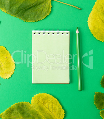 notebook on a green background