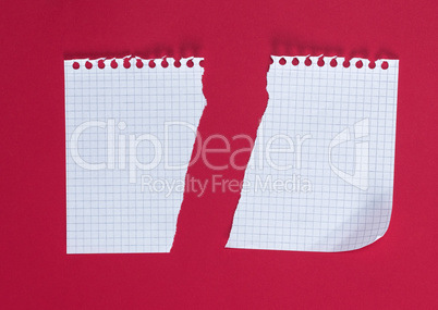 half torn blank white sheet in a cell on a red background