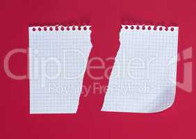 half torn blank white sheet in a cell on a red background