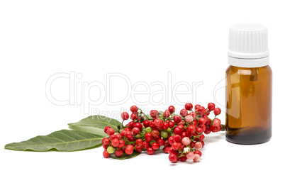 Mastic essential oil isolated on white background.