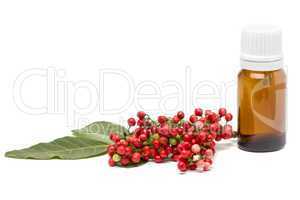 Mastic essential oil isolated on white background.