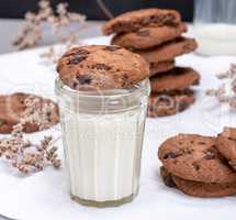 glass of milk and round chocolate chip cookies