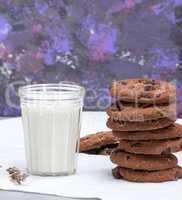 glass of milk and round chocolate chip cookies