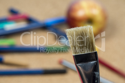 detail of brush bristles on cork background.