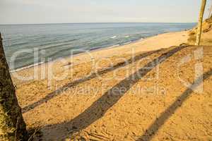 beach of the Baltic Sea with trees and shadows