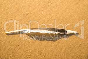 feather on a sand beach