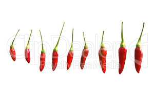 Small chilli pepper