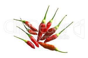 Small chilli pepper