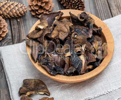 dry forest edible mushrooms