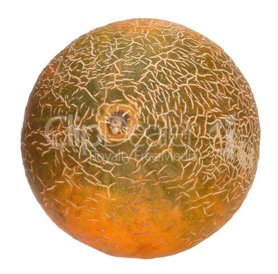 Melon Isolated